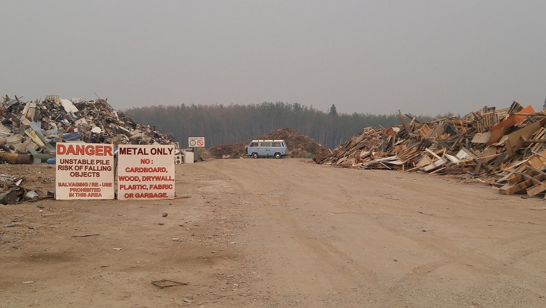 sweet esther at the dump