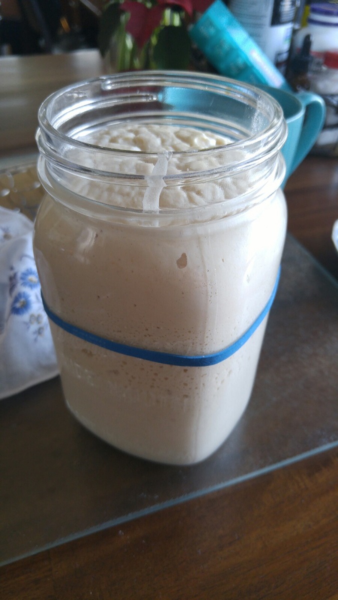 Sourdough Starter